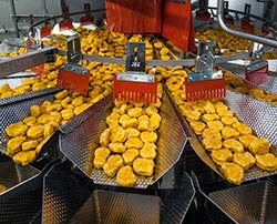Automation from Ishida speeds up production