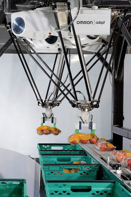 Brillopak takes on the Packhouse Labour Challenge