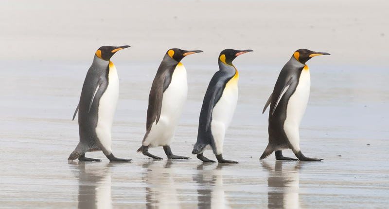 Wind River Pioneers Continuous Delivery Subscription of Commercial Embedded Linux