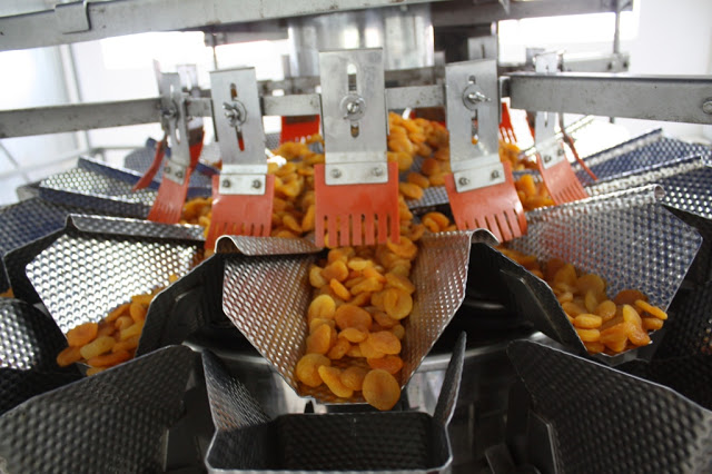 Ishida Flexibility Helps Fruit and Nut Success