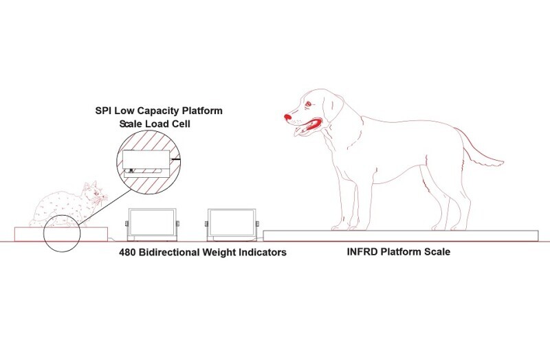 Interface Solution - Veterinary Weighing Scales