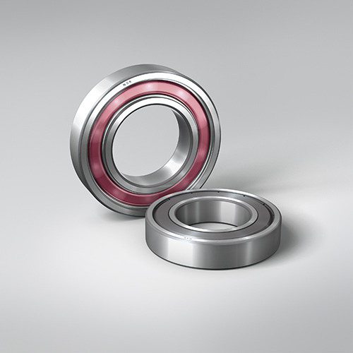 NSK Bearings save €19,200 per annum at Biogas Plant