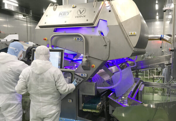 Article by Key Technology: The Expanding Role of Digital Sorters on Food Processing Lines