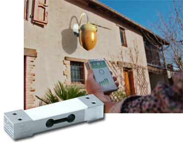 Why Apiago integrates Zemic Load Cells into its smart beehives