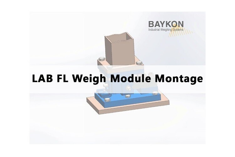 Article by Baykon Inc.: LAB RB Weigh Module Montage