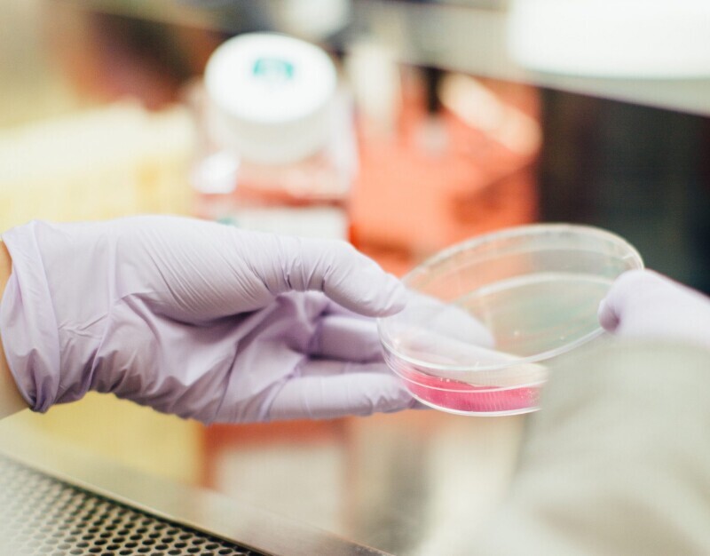 Article By NWI Group: Three ways to reduce disruptive influences on weighing results