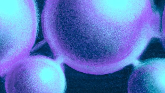 Introduction of NextGenAI: A Consortium to Advance AI Research and Education